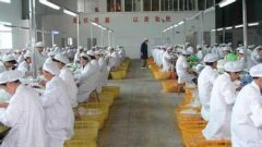 佛山市*寵物用品廠順利通過質(zhì)量/人權(quán)驗廠